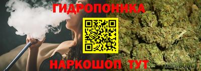 хмурый Бийск