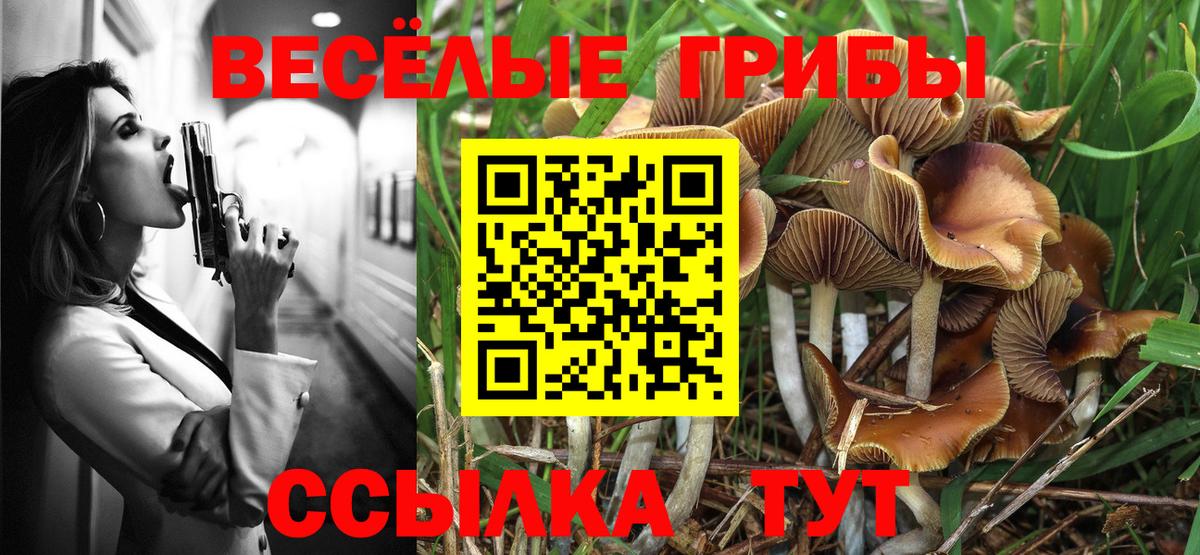 Псилоцибиновые грибы Magic Shrooms  Вход с VPN  Знаменск 