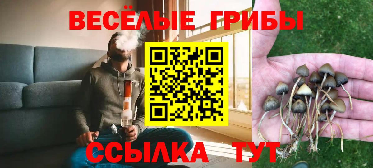Псилоцибиновые грибы мухоморы Знаменск